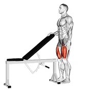 Sissy Squat, start position