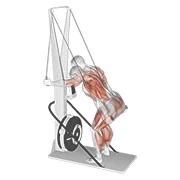 Ski Erg, peak position