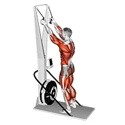 Ski Erg, start position