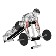 Spider Curl, start position
