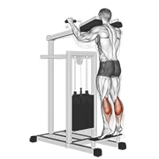 Standing Calf Raise, peak position