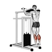 Standing Calf Raise, start position
