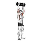Standing Dumbbell Press, peak position