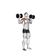 Standing Dumbbell Press, start position
