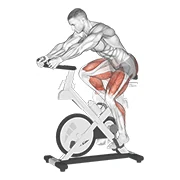 Stationary Bike, peak position