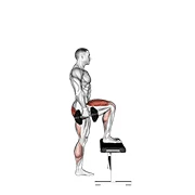 Step-up, start position