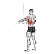 Straight-Arm Pulldown, start position