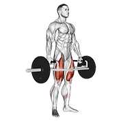Trap-Bar Deadlift, peak position