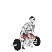 Trap-Bar Deadlift, start position