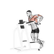 Tricep Dip, peak position