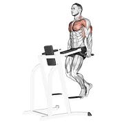 Tricep Dip, start position