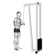 Tricep Pushdown, start position