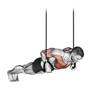 TRX Push-up, peak position