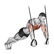 TRX Push-up, start position