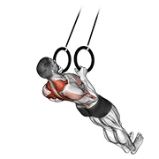 TRX Row, peak position