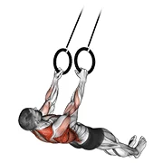 TRX Row, start position