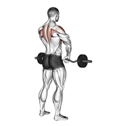 Upright Row, start position
