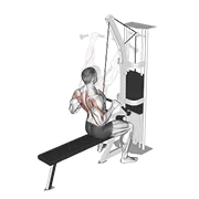 Wide-Grip Pulldown, peak position