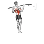 Wide-Grip Pull-up, peak position