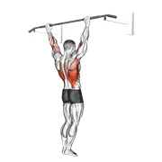 Wide-Grip Pull-up, start position