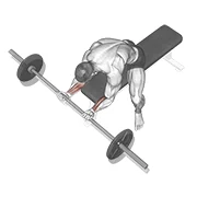 Wrist Curl, peak position