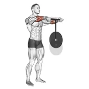 Wrist Roller, peak position