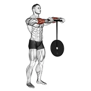 Wrist Roller, start position