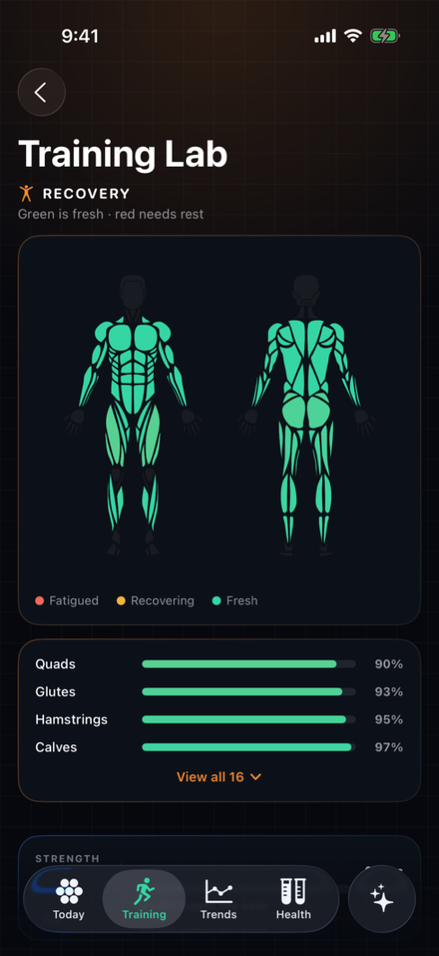 Per-muscle recovery map
